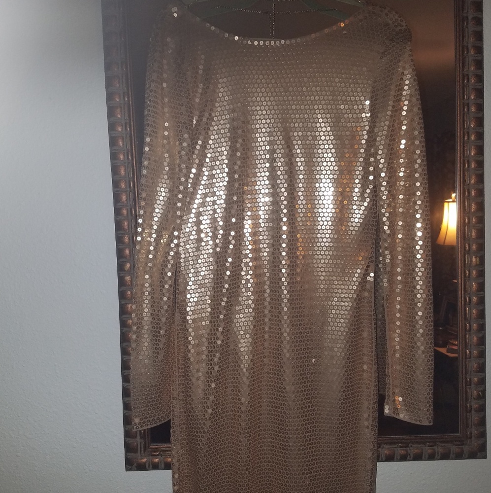 Long sleeved dress